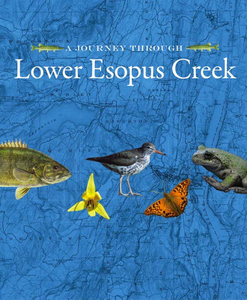 A Journey Into Lower Esopus Creek