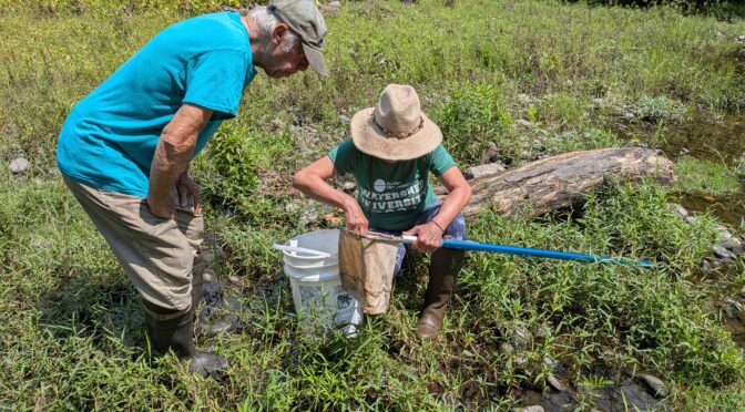 Beneath the Surface:  Biological Sampling on the Lower Esopus